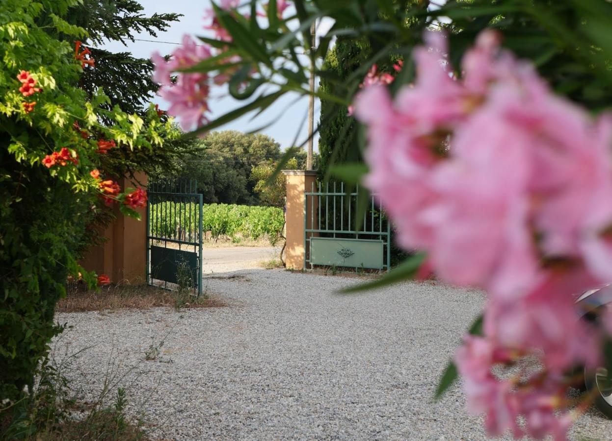 Maison D'Hotes Le Mas Des Vignes Hotell Rochegude  Exteriör bild