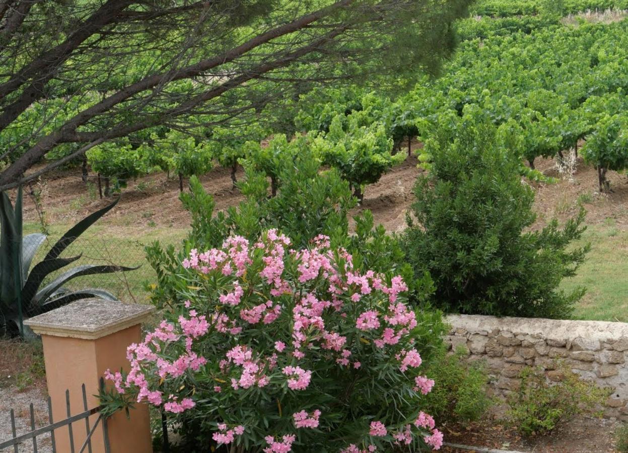 Maison D'Hotes Le Mas Des Vignes Hotell Rochegude  Exteriör bild