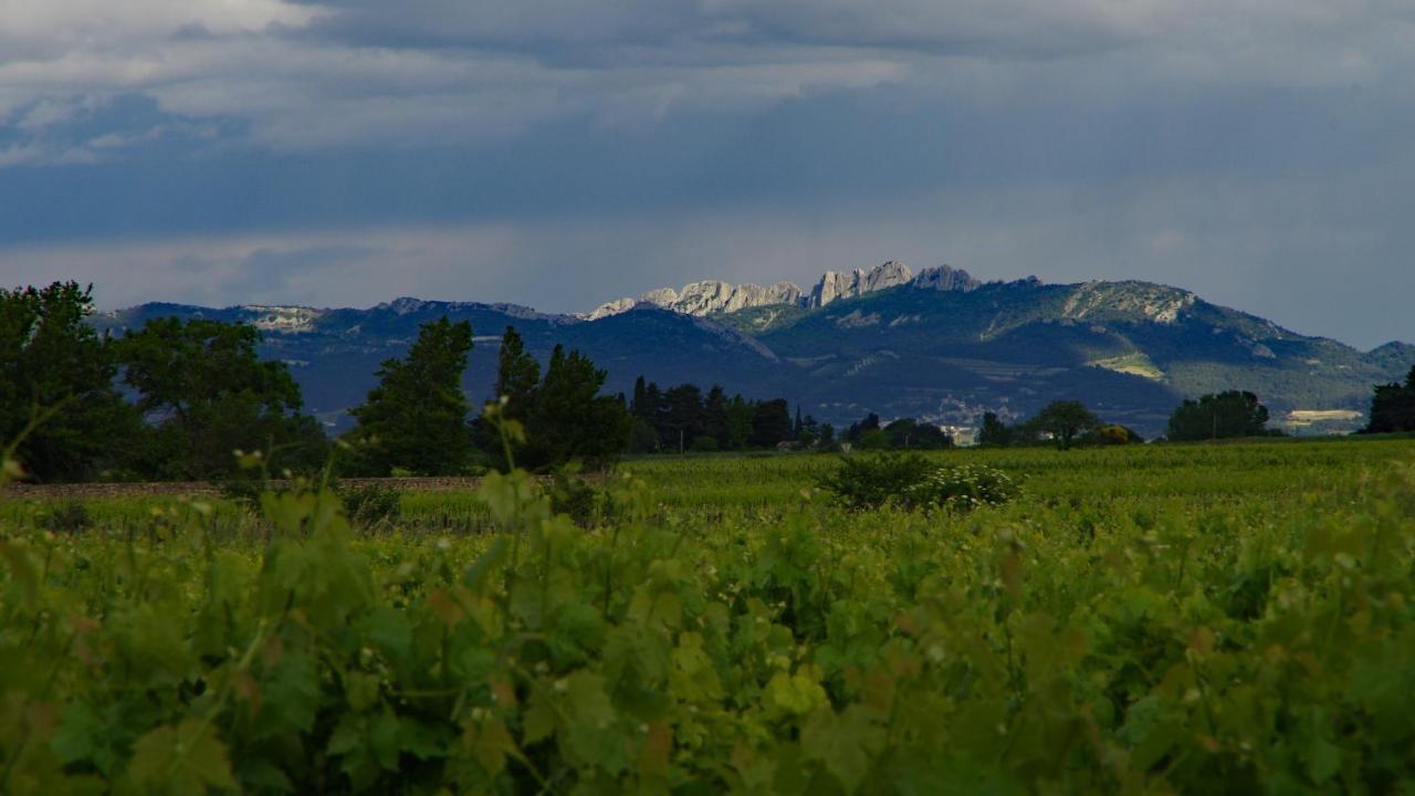 Maison D'Hotes Le Mas Des Vignes Hotell Rochegude  Exteriör bild